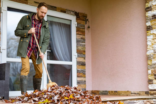 Basement Cleanout Services in Skidway Lake, MI